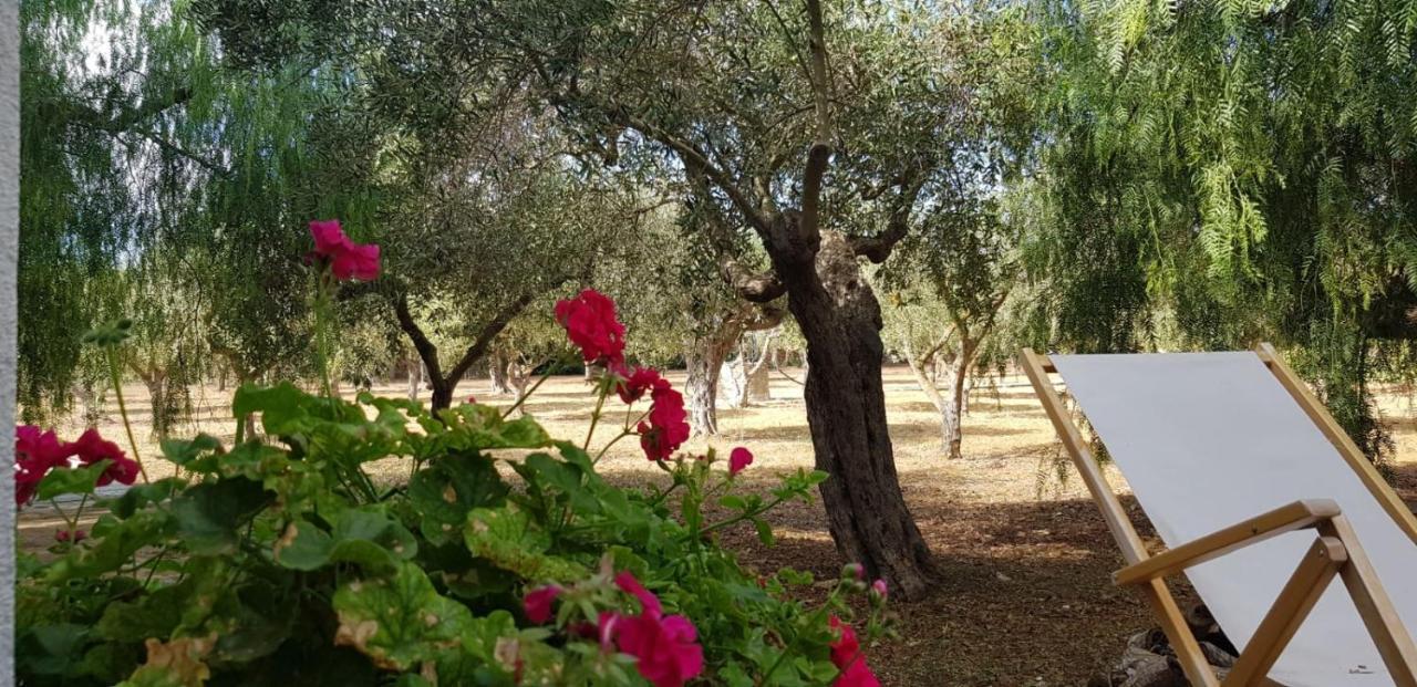 Holiday home Casa Ibiscus Marsala