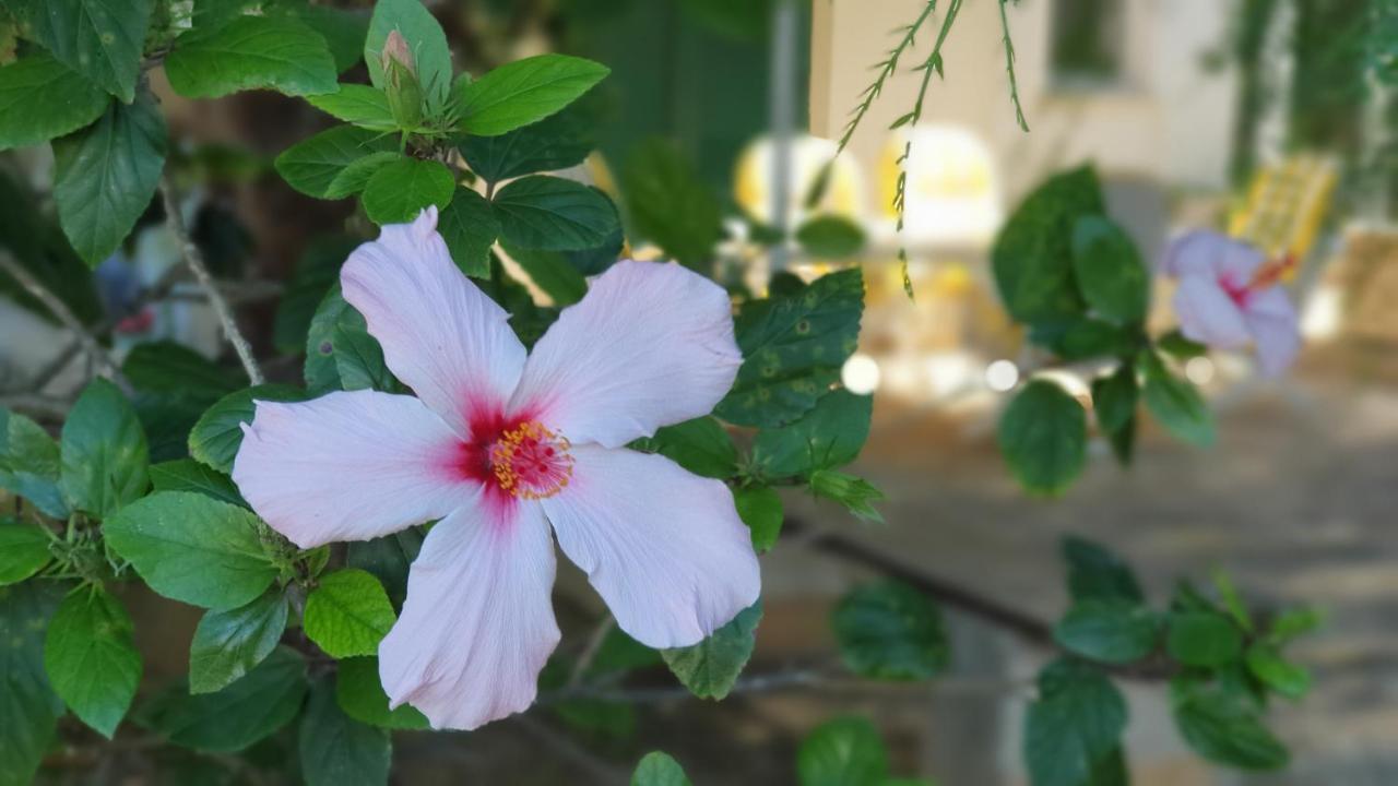 Holiday home Casa Ibiscus Marsala
