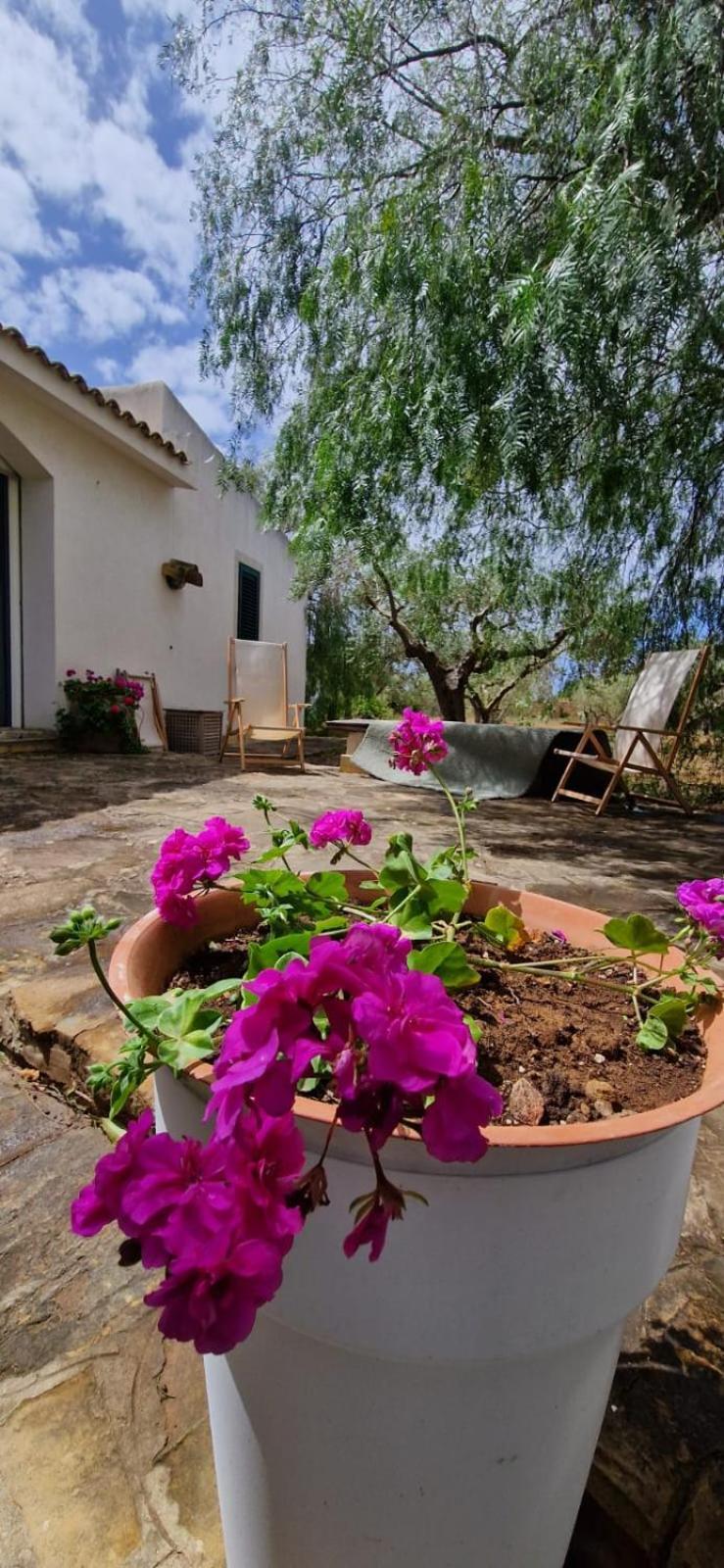 Holiday home Casa Ibiscus